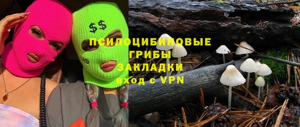 прущая мука Верея