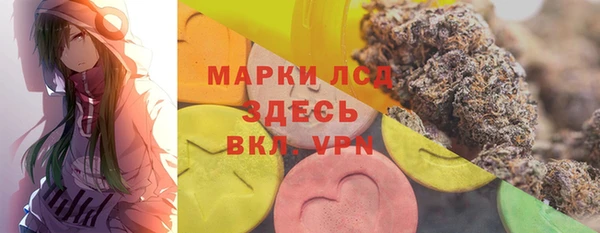 mdpv Бородино